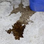 How to Know If You Have a Hidden Water Leak at Home