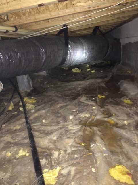 Crawl space leak detection NJ