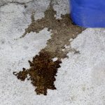 Why New Jersey Homes Are Prone to Slab Leaks