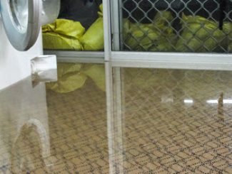 Laundry Room Leak-Detection Services